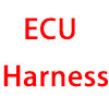Harness-ECU