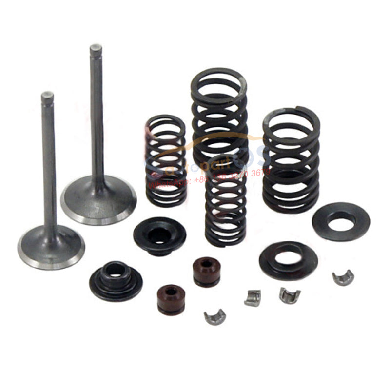 Inlet/Exhaust Valve Sets 250-5027 for CFMOTO CF250 V3 V5 – autopartsos
